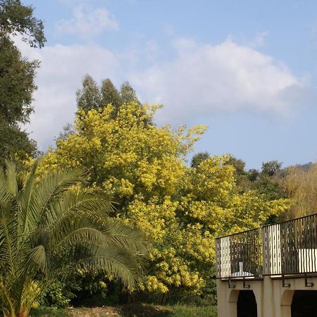 Jardins D'Antalya Grimaud Exterior photo